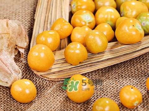 姑娘果怎么挑選？姑娘果產(chǎn)地在什么地方