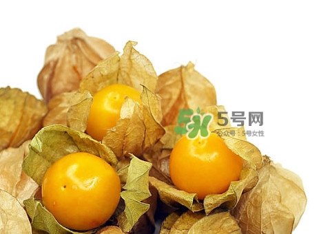 姑娘果怎么挑選？姑娘果產(chǎn)地在什么地方
