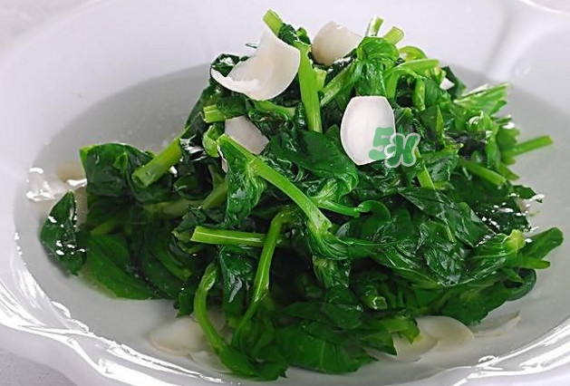 木耳菜是什么菜？木耳菜對(duì)人有哪些好處？