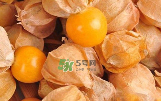 姑娘果怎么挑選？姑娘果產(chǎn)地在什么地方