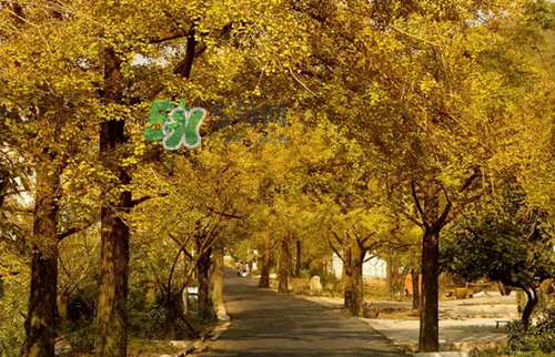 9月份去浙江穿什么？九月份去浙江穿什么衣服