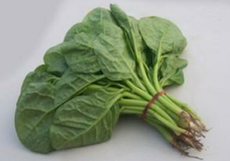 木耳菜怎么清洗？木耳菜怎么擇？