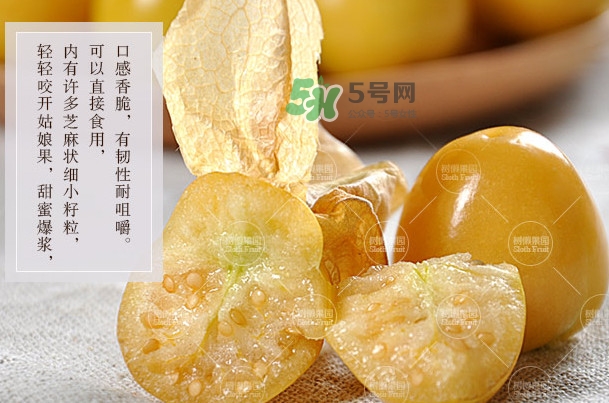 菇娘是寒性還是熱性？菇娘是哪里產(chǎn)的