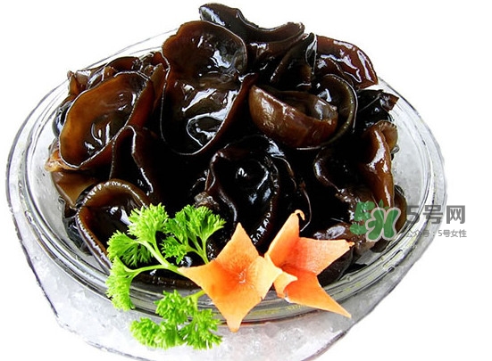 木耳菜是什么季節(jié)的菜？木耳和木耳菜有區(qū)別嗎