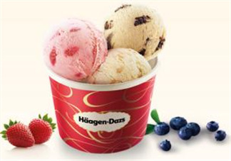 哈根達斯(H?agen-Dazs)柚子芝士蛋糕多少錢_好吃嗎？