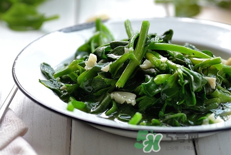 木耳菜可以生吃嗎？木耳菜可以涼拌嗎