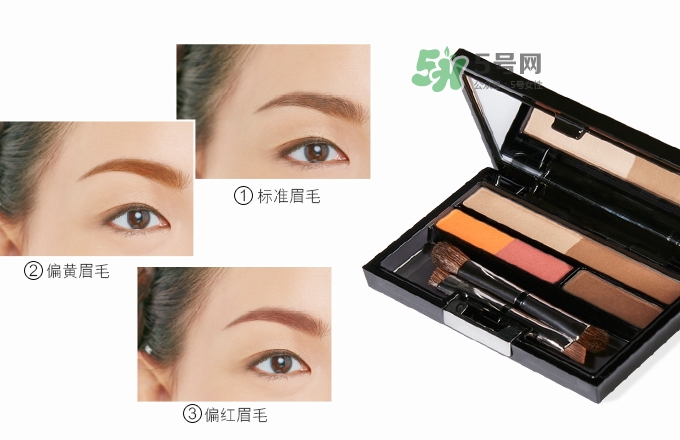 ipsa五色眉粉怎么用？ipsa茵芙莎五色眉粉使用方法