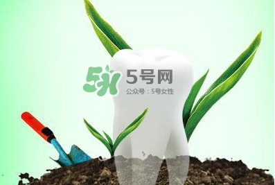 種植牙多少錢一顆？為什么種植牙很貴