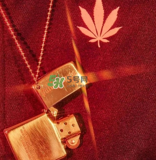 palm angels是什么牌子_哪個國家的_什么檔次？