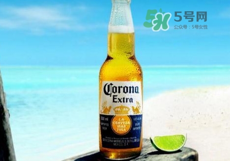 科羅娜啤酒多少錢一瓶？科羅娜啤酒好喝嗎