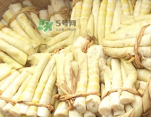 苦筍做法有哪些？苦筍怎么處理才不會(huì)苦
