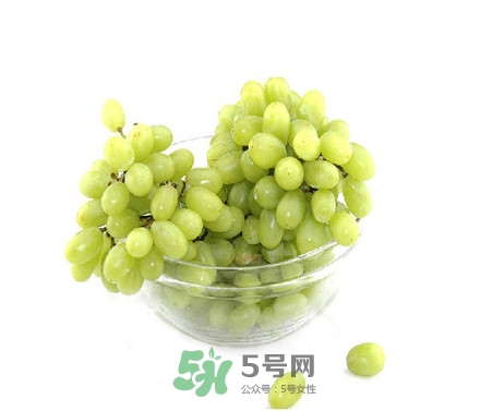 馬奶葡萄是提子嗎？馬奶葡萄怎么洗？