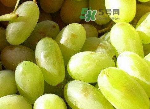 馬奶葡萄是提子嗎？馬奶葡萄怎么洗？