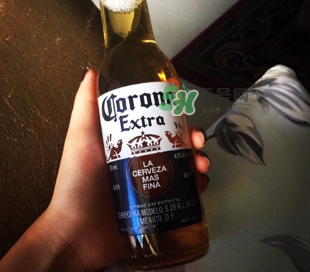 科羅娜啤酒多少度？科羅娜啤酒怎么樣