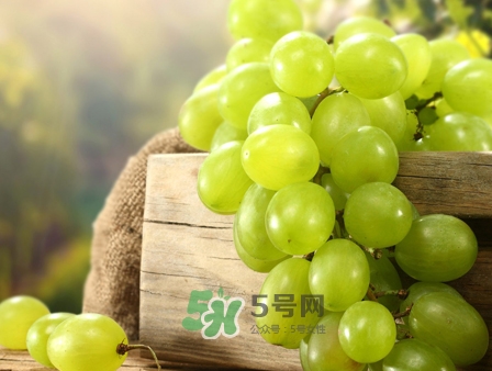 馬奶葡萄幾月成熟？吃馬奶葡萄有什么好處？