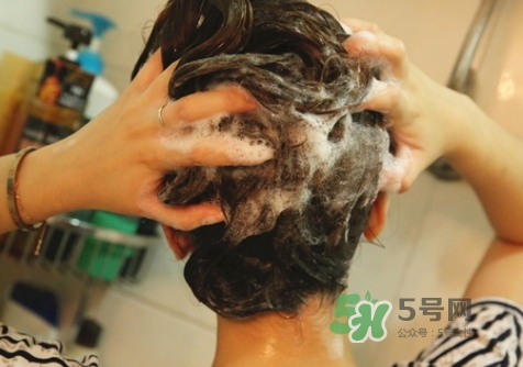 hair recipe水果洗發(fā)水怎么樣？hair recipe洗發(fā)水哪款好用