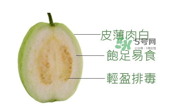 芭樂是什么季節(jié)的水果？芭樂什么時候吃最好