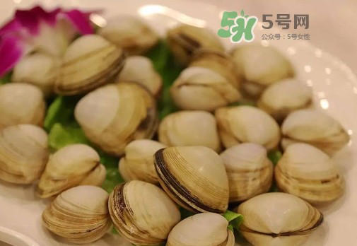 花蛤可以放冰箱冷凍嗎？花蛤放冰箱保鮮能吃嗎？