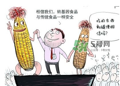 雜交水稻是不是轉(zhuǎn)基因？轉(zhuǎn)基因食品有哪些？