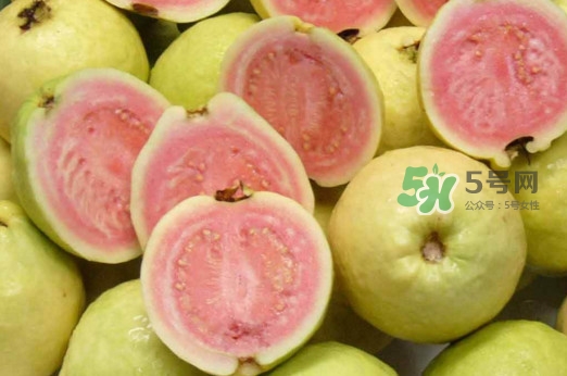 芭樂皮能吃嗎？芭樂皮可以吃嗎