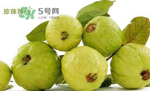 芭樂是什么季節(jié)的水果？芭樂什么時候吃最好
