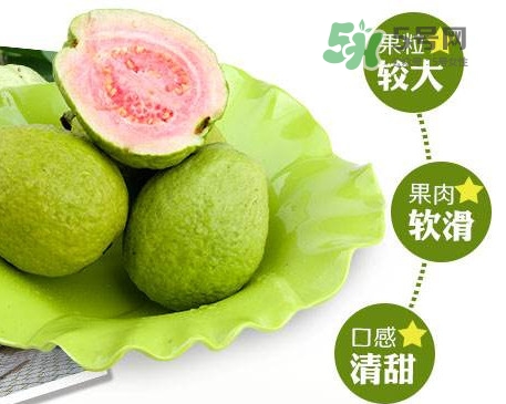 芭樂怎么挑選？如何挑選紅心芭樂