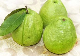 芭樂(lè)沒(méi)熟能吃嗎？芭樂(lè)怎么催熟