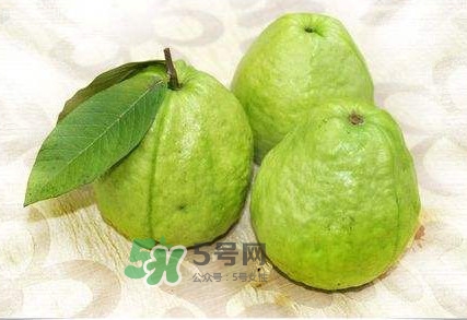 新鮮芭樂可以放幾天？芭樂能放多久