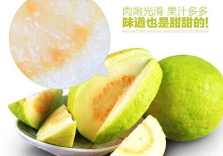 芭樂(lè)和番石榴有什么區(qū)別？芭樂(lè)和番石榴的區(qū)別