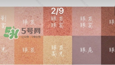 zoeva玫瑰金眼影盤怎么畫？zoeva rose golden畫法教程