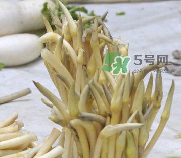 2017年藕帶什么時候下市？藕帶下市時間是幾月？