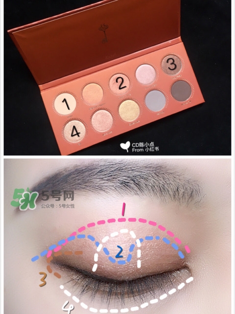 zoeva玫瑰金眼影盤怎么畫？zoeva rose golden畫法教程