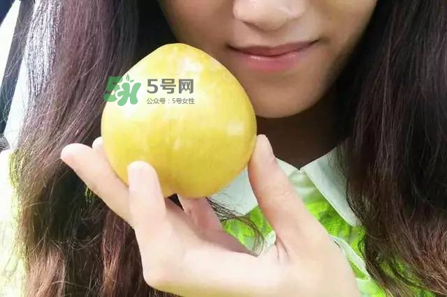 奈李是什么水果？奈李為什么會(huì)空心