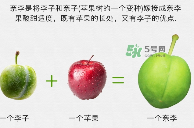 月經(jīng)期間可以吃奈李嗎？來(lái)月經(jīng)可以吃奈李嗎
