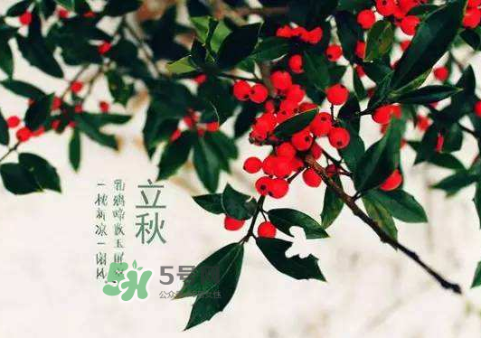 立秋為什么在處暑前？為什么立秋早過處暑？
