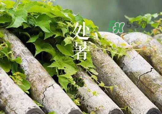 立秋為什么在處暑前？為什么立秋早過處暑？