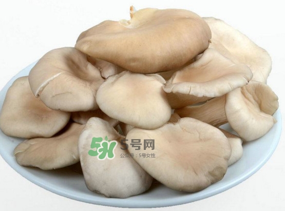 秀珍菇可以和海帶一起吃嗎？海帶能和秀珍菇一起吃嗎