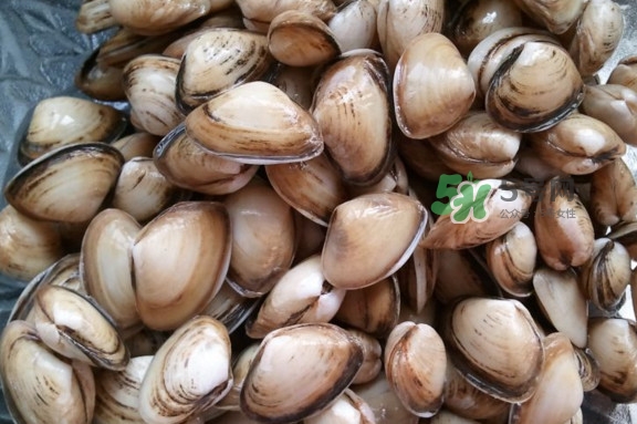 海瓜子多少錢一斤？西湖撈起的海瓜子能吃嗎