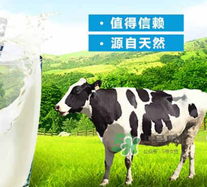 牛初乳是奶粉嗎？牛初乳跟奶粉的區(qū)別