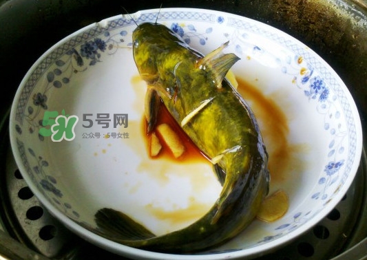 黃刺魚怎么殺？黃刺魚怎么處理