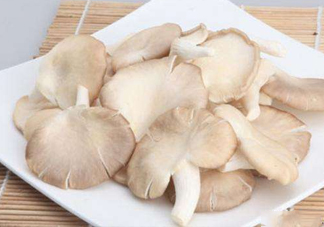 秀珍菇孕婦可以吃嗎？孕婦能吃秀珍菇嗎