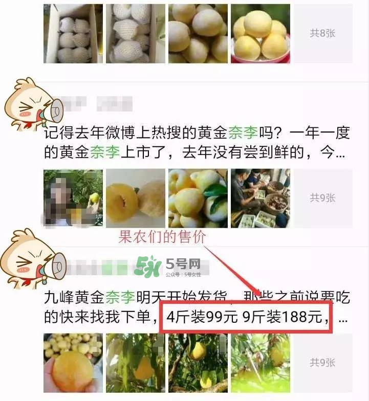 黃金奈李多少錢一斤？黃金奈李價(jià)格