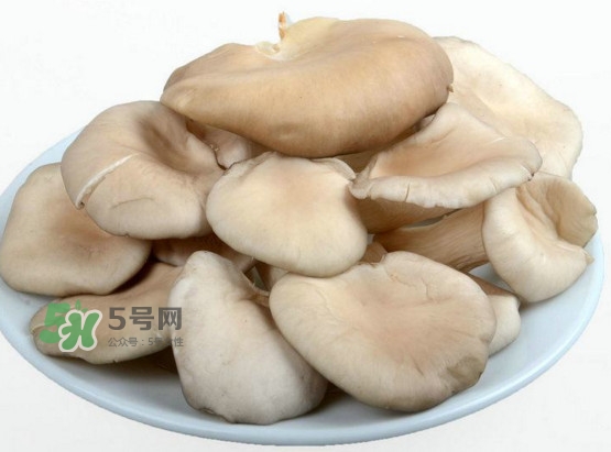 秀珍菇孕婦可以吃嗎？孕婦能吃秀珍菇嗎