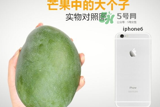 凱特芒果多少錢一斤？凱特芒果價(jià)格