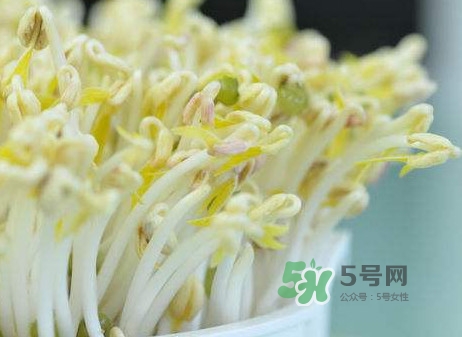 豆芽什么季節(jié)吃？豆芽什么時(shí)候有
