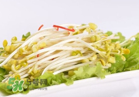 豆芽怎么保存？新鮮豆芽放冰箱能放幾天？
