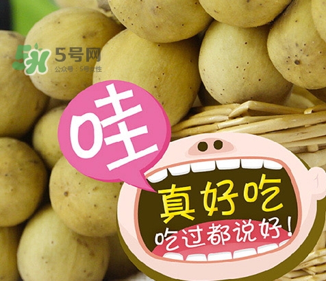龍宮果孕婦可以吃嗎？懷孕可以吃龍功果嗎