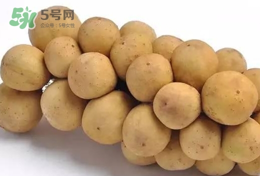 龍宮果多少錢一斤？龍功果價格表