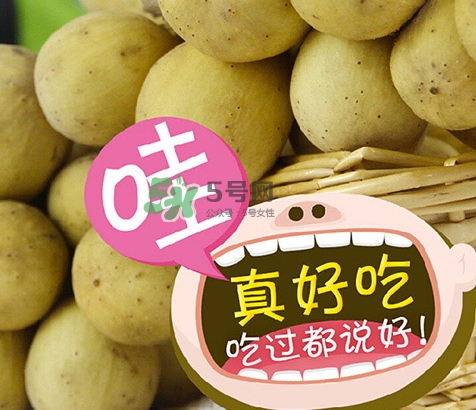 龍宮果多少錢一斤？龍功果價格表