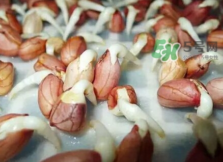 花生芽怎么培育？花生芽怎樣才能發(fā)出來(lái)